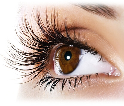Female brown eye with long eye lashes